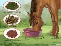 how-can-i-make-my-horse-grow
