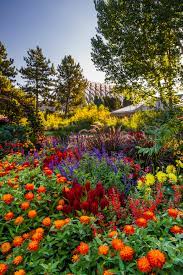 denver botanic gardens