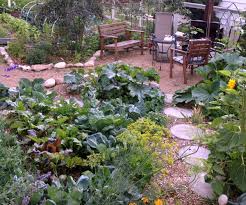 Permaculture Zones On 1 8 Of An Acre