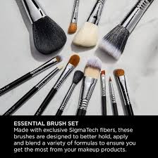 sigma essential brush kit 12 piece kit