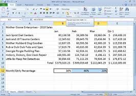 percent number format in excel 2010