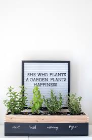 Diy Herb Garden Planter Alice And Lois