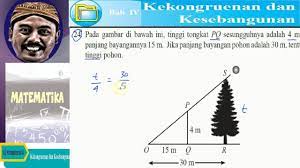 Setelah semua data itu terkumpulan, tinggi tiang adalah. Menghitung Tinggi Pohon Kesebangunan Bse Matematika Kelas Ix K13 Uk 4 1 No 23 Youtube