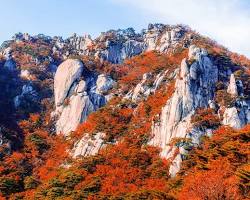 서울 북한산 국립공원 전경 및 주요 봉우리 사진, AI로 생성