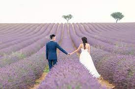 Check spelling or type a new query. The Incredible Lavender Fields Of Provence Are Perfect For A Pre Wedding Shoot French Grey Photography
