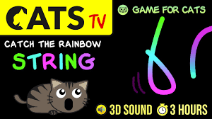 game for cats crazy rainbow string