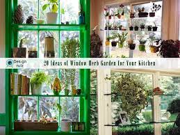diy 20 ideas of window herb garden for
