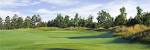 Canongate-Lake Windcrest Course No. 3 | Stonehouse Golf