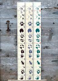 Animal Tracks Wooden Growth Chart