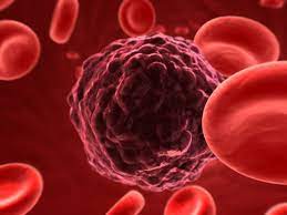 Circulating tumor cells | PNAS