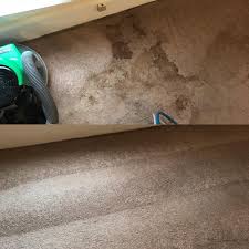 carpet cleaning service in newark oh