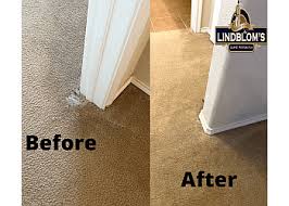 lindblom s professional carpet cleaning