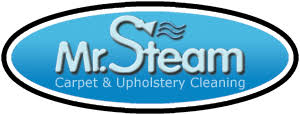 mr steam carpet upholstery cleaning