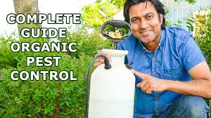 organic pest control