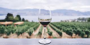 napa valley wine tours tastings