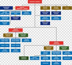 Organizational Chart Organisation Company Pharmaceutical