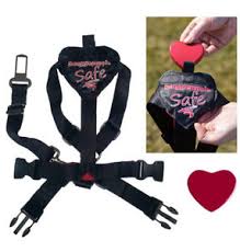 Details About Smart Pet Love Safe Sound Dog Harness In Sizes Xs To Xl Helps Reduce Anxiety