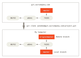 git remote branches