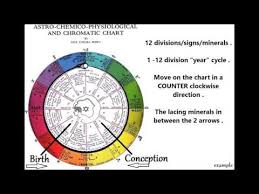 12 Cell Salts Vid 2 Of 3 The Inez Perry Astrological