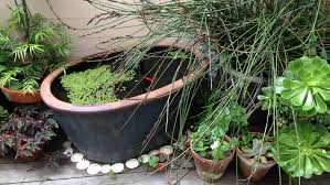 even a small patio can have a fish pond