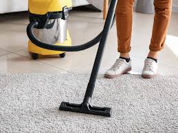 top 12 best ash vacuum cleaners for the