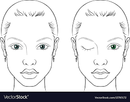 face chart woman royalty free vector
