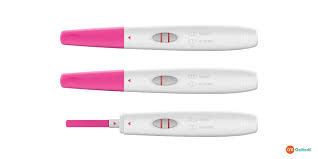A few minutes later, the dipstick reveals the test result — often as a plus or a minus sign, one line or two lines, or the words pregnant or not pregnant on a strip or screen. Wondering How To Use Pregnancy Test Kit Gomedii