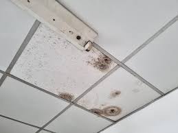 ceiling repair water damage cost