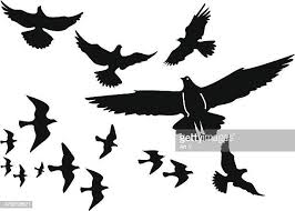 Pássaros Voando Em Formação V - Fotografias e Filmes do Acervo - Getty  Images