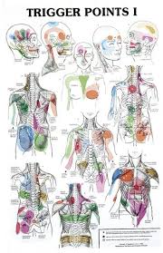 Trigger Points Chart Learn What Trigger Point Massage Can