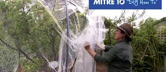 Diy Netting A Fruit Tree In The