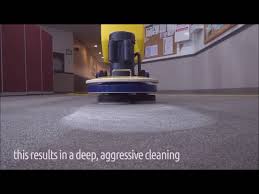 cimex commercial carpet cleaning