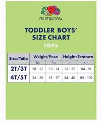 Fruit Of The Loom Boys 2 7 Toddler A Shirt 5 Pack White 4t