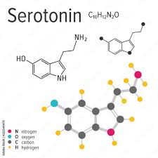 serotonin molecule vector ilration