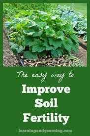 Garden Soil Organic Gardening Tips