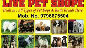 If you have more than one, prices can be significantly lower for the second and third dog. Live Pet Shop Dog Trainer Pet Store In Jammu