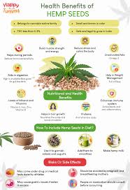 top 10 benefits of eating hemp seeds