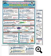 Bait Rigging Chart 3 Off Shore Contains Basic Pin Rig