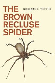 the brown recluse spider nhbs