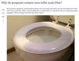 Turning Toilet Seats Blue