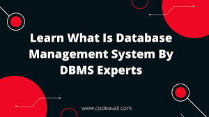 database management system by dbms experts
