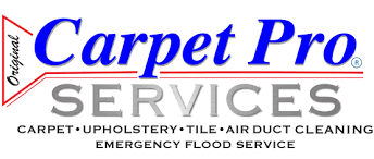 carpet cleaning expert hudson oh