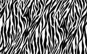 zebra print wallpaper hd pixelstalk net