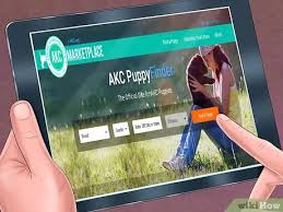 You've just landed on one of the most popular and effective pet advertising websites in the world. 3 Ways To Find An Akc Puppy Wikihow