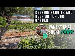 Garden Pantry Podcast Short