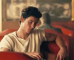 Today we check out shawn mendes & camila cabello's new music video for their song, señorita! Shawn Mendes Imagines Senorita Wattpad