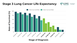 se 3 life expectancy lung cancer