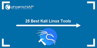 25 best kali linux tools
