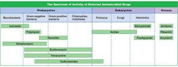 Antimicrobial Drug Activity Spectrum Infection Control