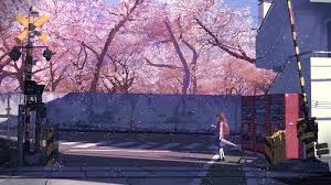 anime anime s cherry blossom 5